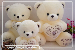 مهم‌ ترین نکات خرید عروسک خرس که باید بدانید
