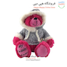 خرس پلیوری 1