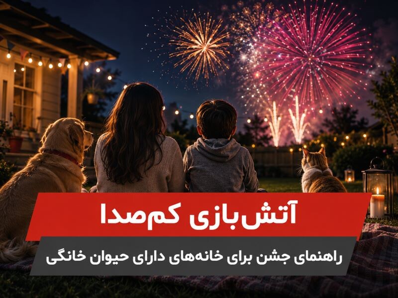 آتش‌بازی کم‌صدا برای جشن خانوادگی